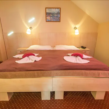 Centre Plaza 3* Praga