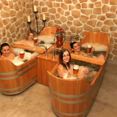 Centre Plaza 3* Praga