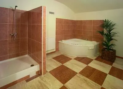 Centre Plaza 3* פראג