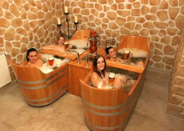 Centre Plaza 3* Praag